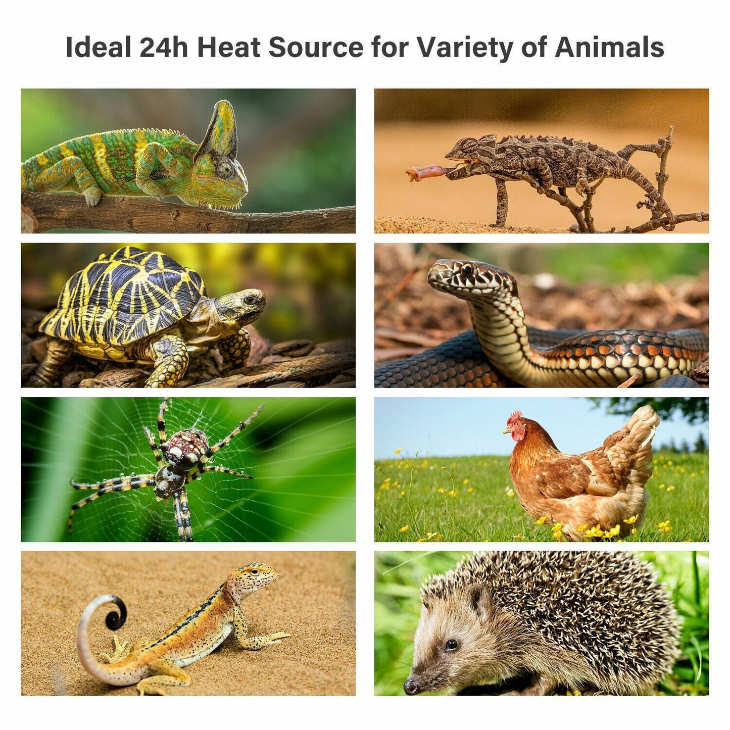 100W Black Ceramic Infrared Light Heat Emitter Lamp Bulb Reptile Snake Brooder