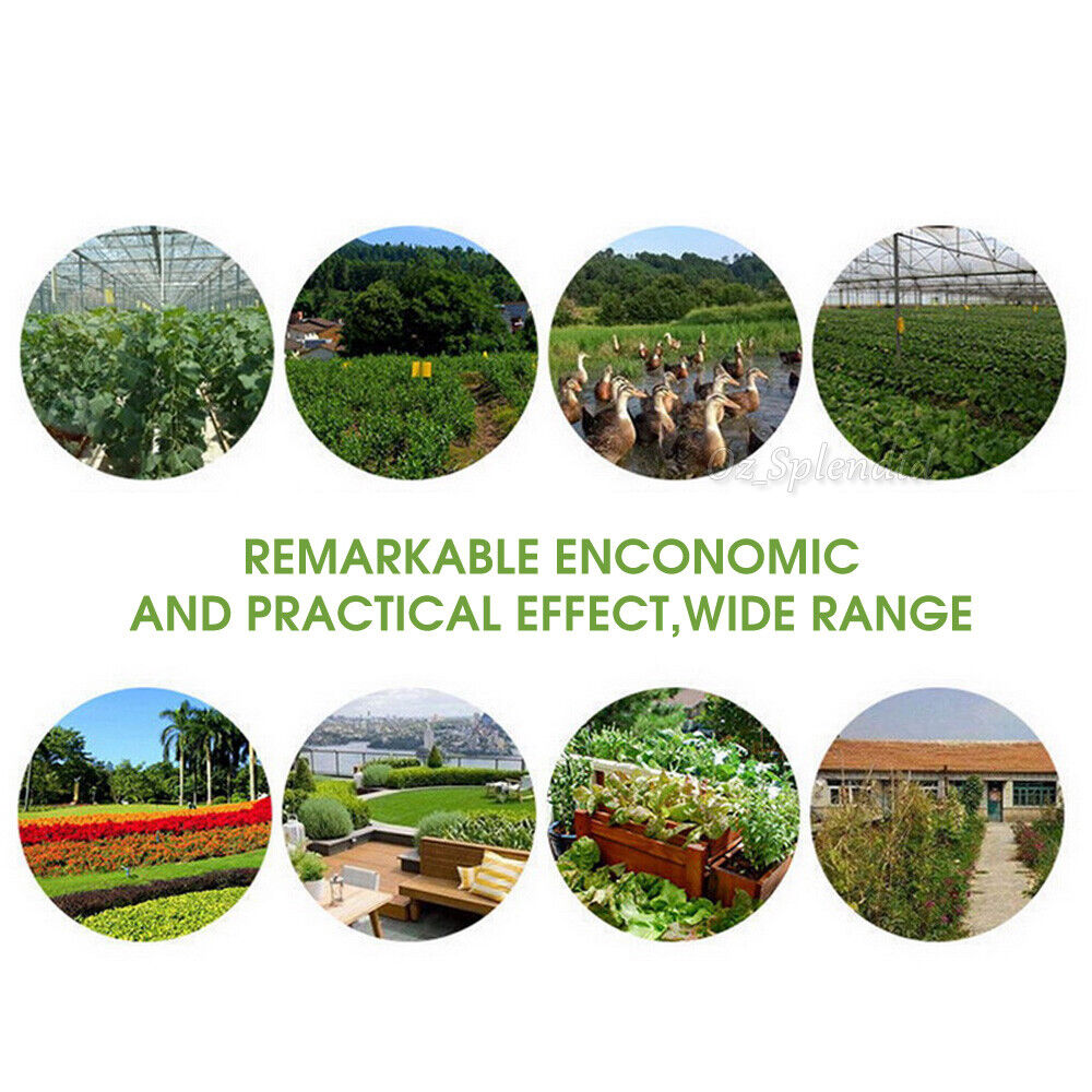 50x Dual Sided Sticky Trap Insect Killer Whitefly Thrip Fruit Fly Gnat