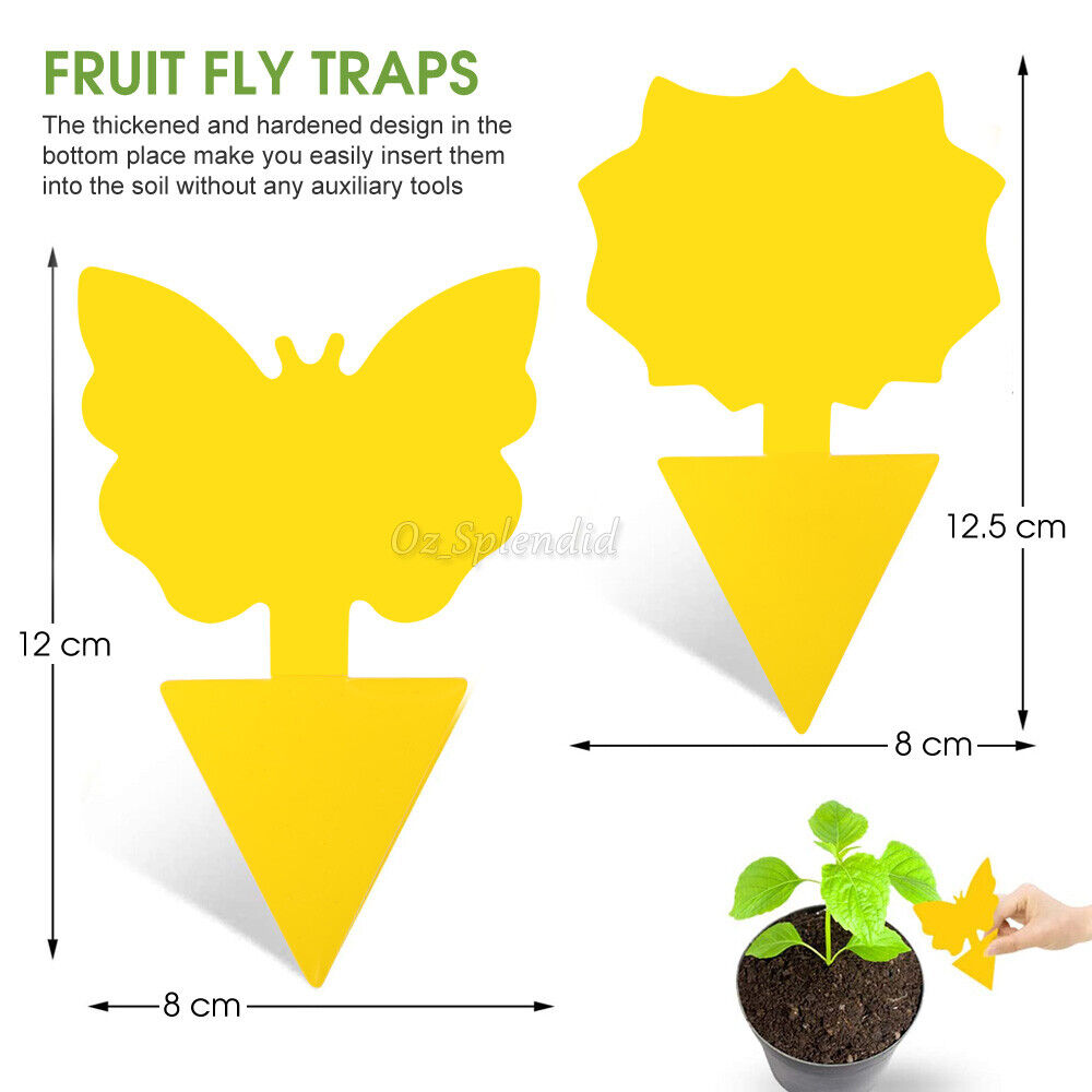 50x Dual Sided Sticky Trap Insect Killer Whitefly Thrip Fruit Fly Gnat