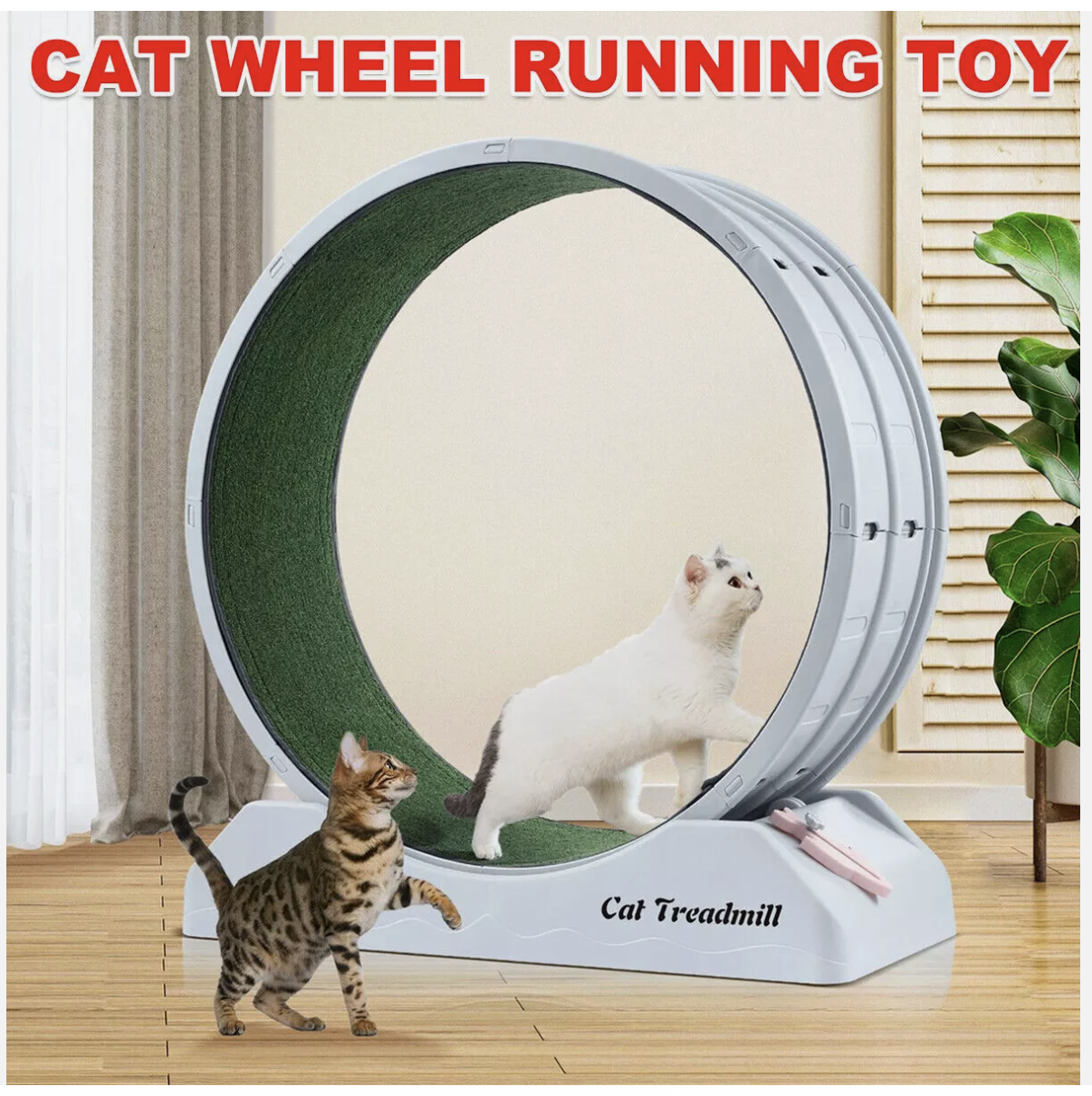 Cat Wheel Running Toy Fitness Exerciser Workout Treadmill Machine Circle Wood