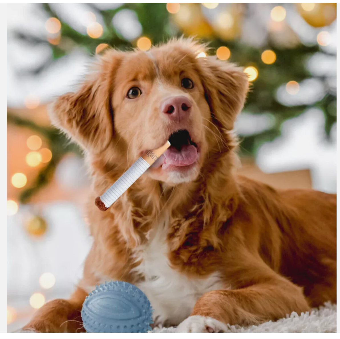 Giggles Interactive Cigarettes Dog Toy Teething Toys Funny Squeaky Cigars Plush