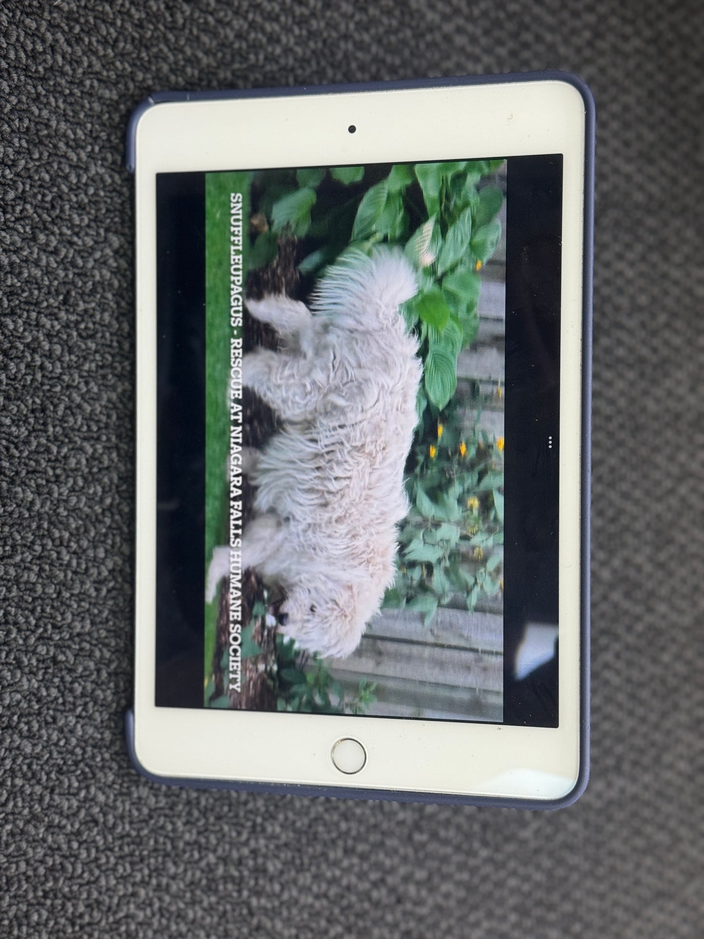 As New Apple iPad Air 5th Gen 64GB Apple warranty AppleCare+ expires on 6th May 2025