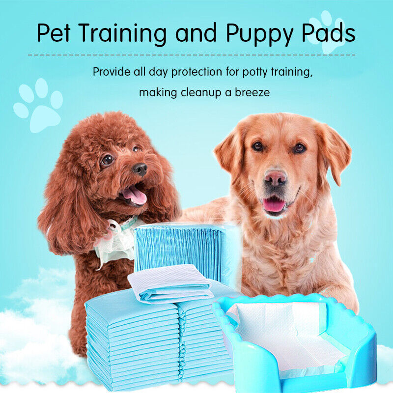 40PCs Pet Training Pads Puppy Dog Toilet Pee Indoor Super Absorbent 60x60cm