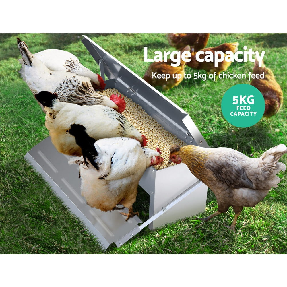 Automatic Chicken Feeder NZ | 5kg Self-Opening Treadle