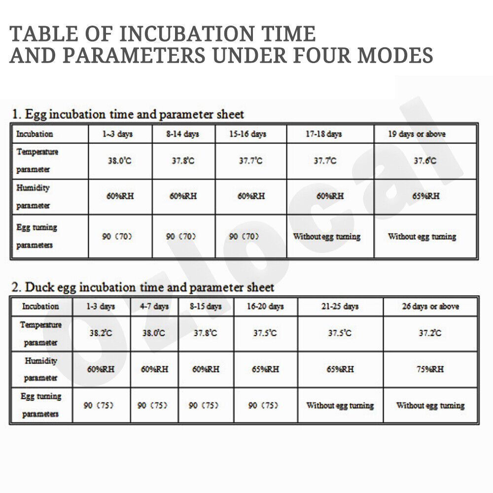 Automatic Egg Incubator