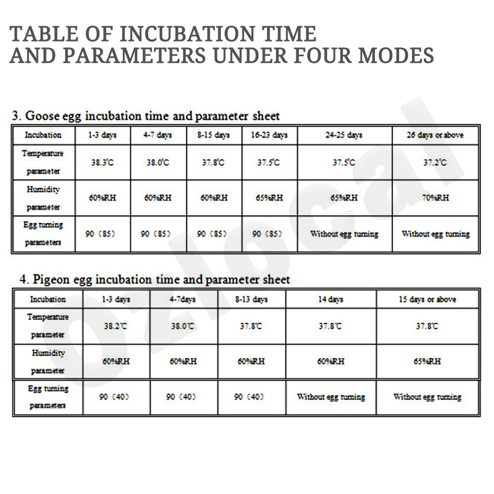 Automatic Egg Incubator