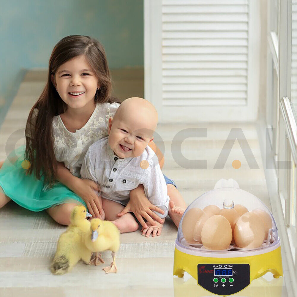 Automatic Egg Incubator