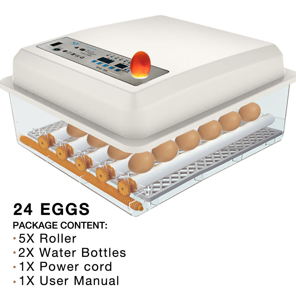 Automatic Egg Incubator