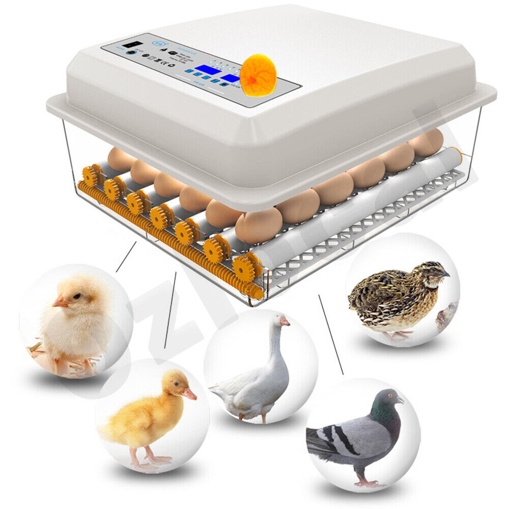 Automatic Egg Incubator