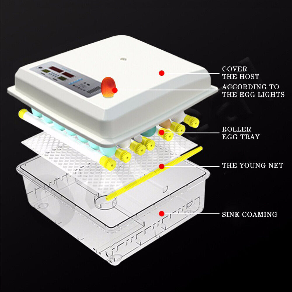 Automatic Egg Incubator