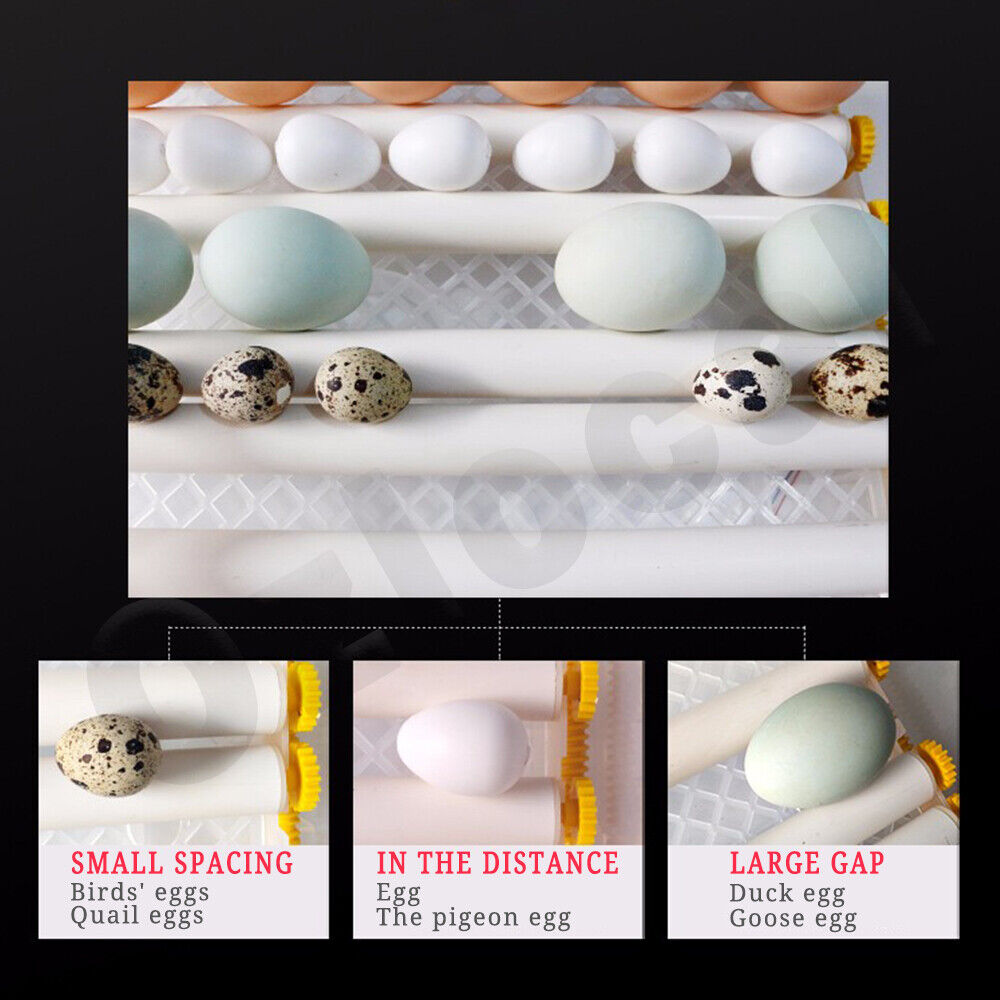 Automatic Egg Incubator