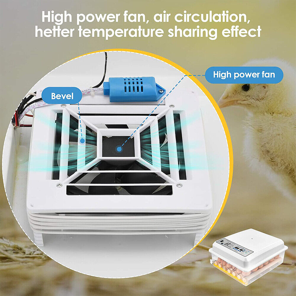 Automatic Egg Incubator