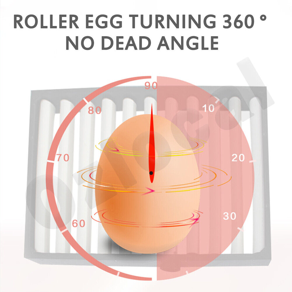 Automatic Egg Incubator