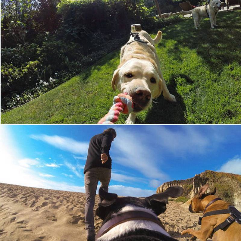 Pet Dog Fetch Harness Chest Strap Belt Mount GoPro Hero 6 4 3+ 3 7Go Pro Camera