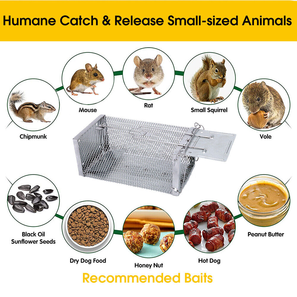 Humane Rat Trap Cage Live Animal Catch Pest Rodent Mouse Bait Control Box