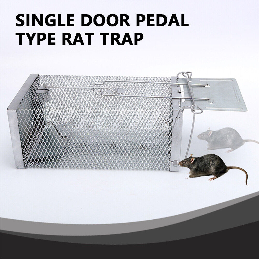 Humane Rat Trap Cage Live Animal Catch Pest Rodent Mouse Bait Control Box