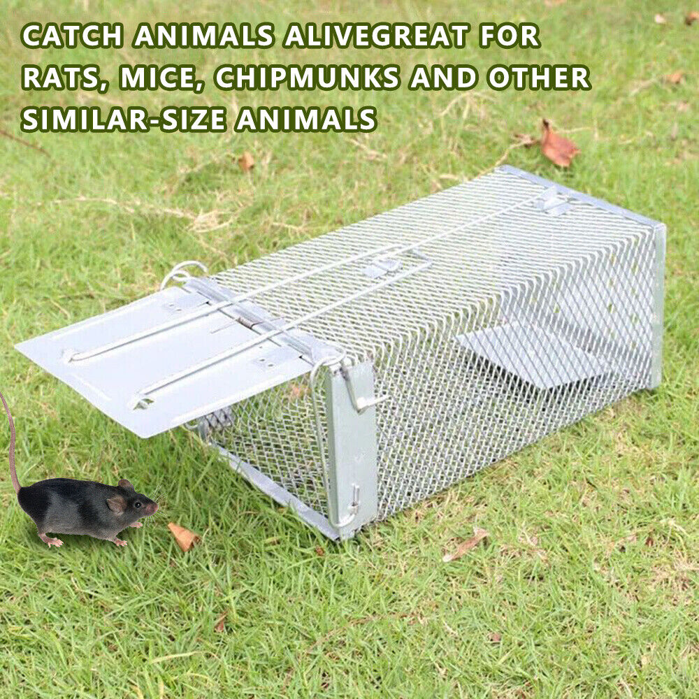 Humane Rat Trap Cage Live Animal Catch Pest Rodent Mouse Bait Control Box