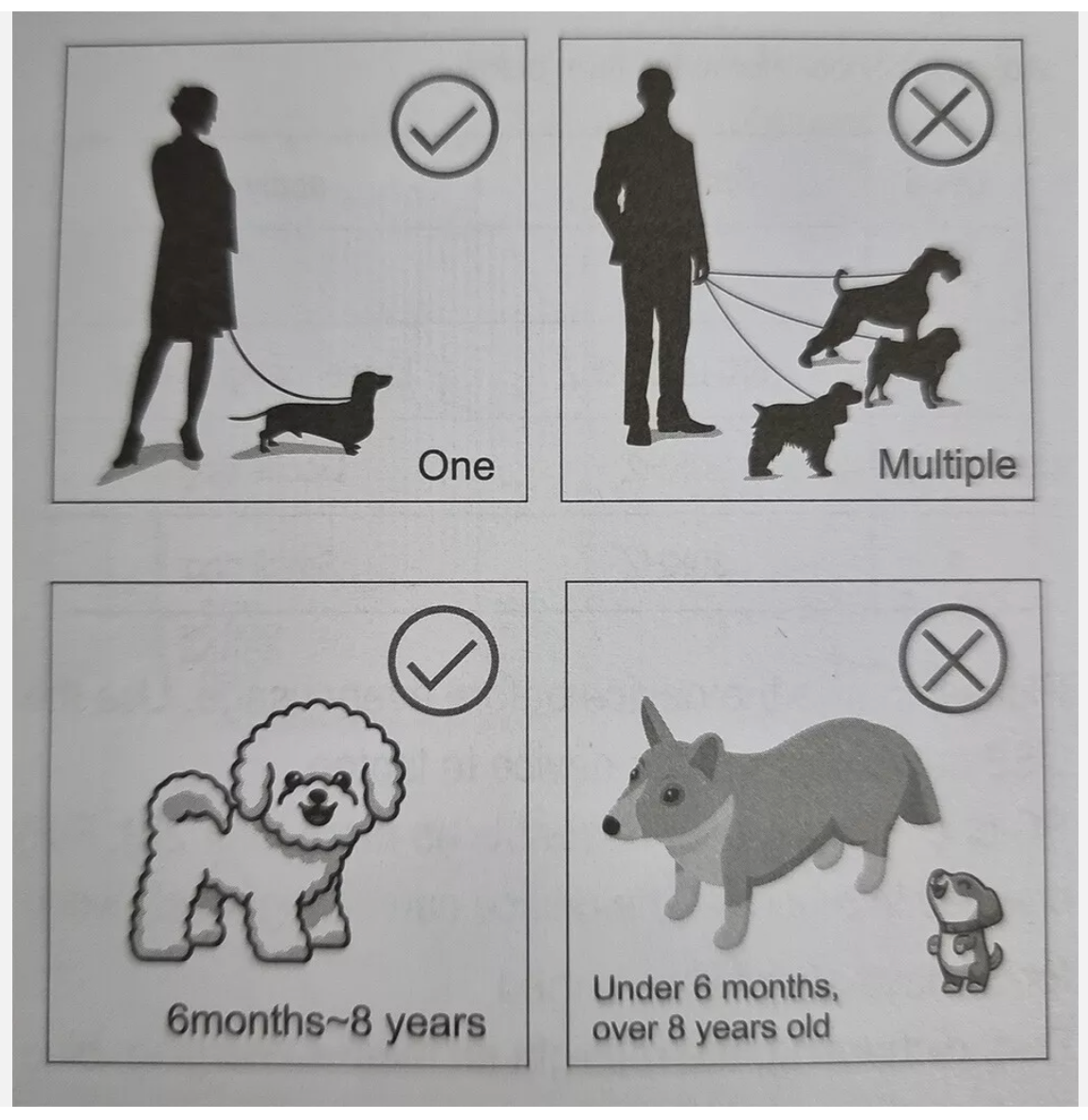 Outdoor Anti Bark Device Ultrasonic Dog Barking Control Stop Repeller Trainer