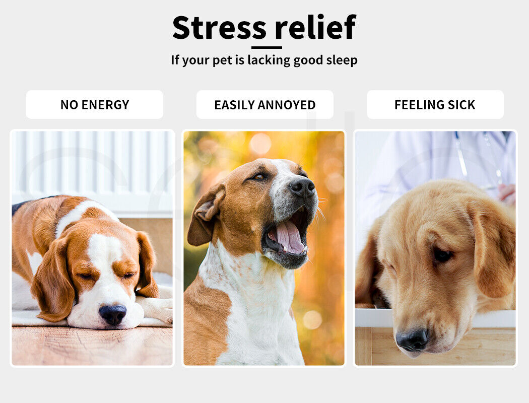 Pet Bed Dog Cat SIZE XL