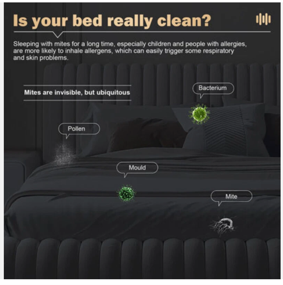 Cordless Dust Mite Remover Vacuum UV Cleaner 10000kpa Home Bed Sofa Mattress Kit