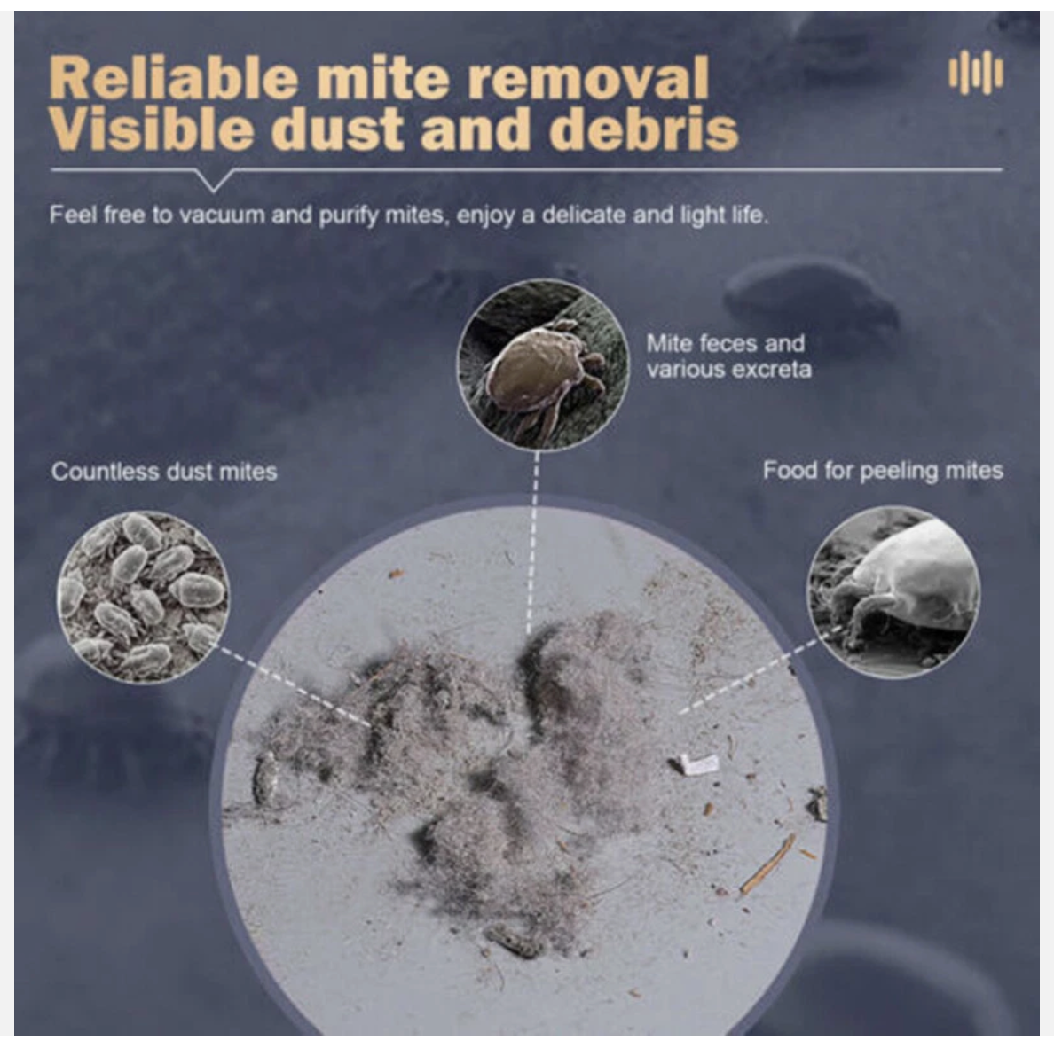 Cordless Dust Mite Remover Vacuum UV Cleaner 10000kpa Home Bed Sofa Mattress Kit