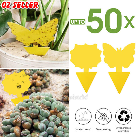 50x Dual Sided Sticky Trap Insect Killer Whitefly Thrip Fruit Fly Gnat