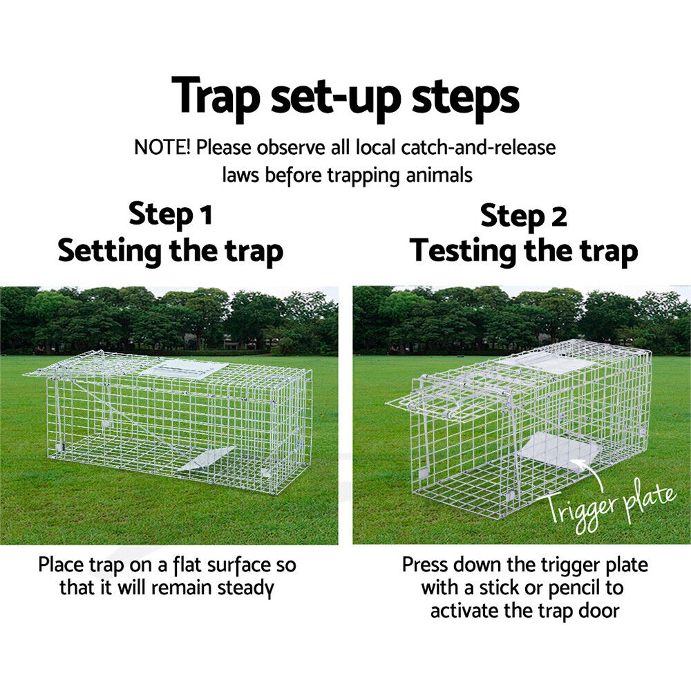 Extra Large Animal Trap Humane Cage Possum Fox Koala Rabbit Bird Cat