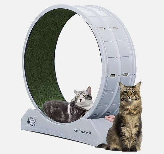 Cat Wheel Running Toy Fitness Exerciser Workout Treadmill Machine Circle Wood