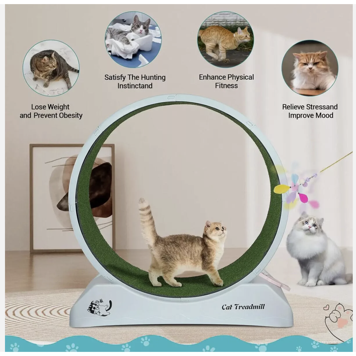 Cat Wheel Running Toy Fitness Exerciser Workout Treadmill Machine Circle Wood