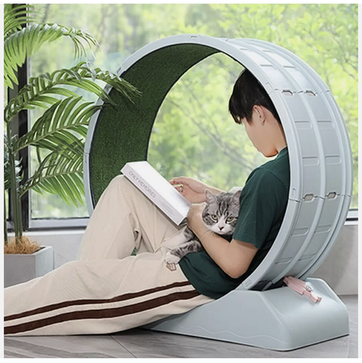 Cat Wheel Running Toy Fitness Exerciser Workout Treadmill Machine Circle Wood