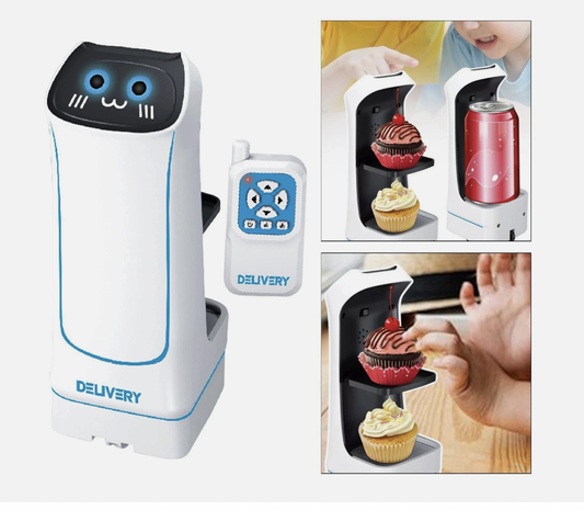Food Delivery Robot Toy