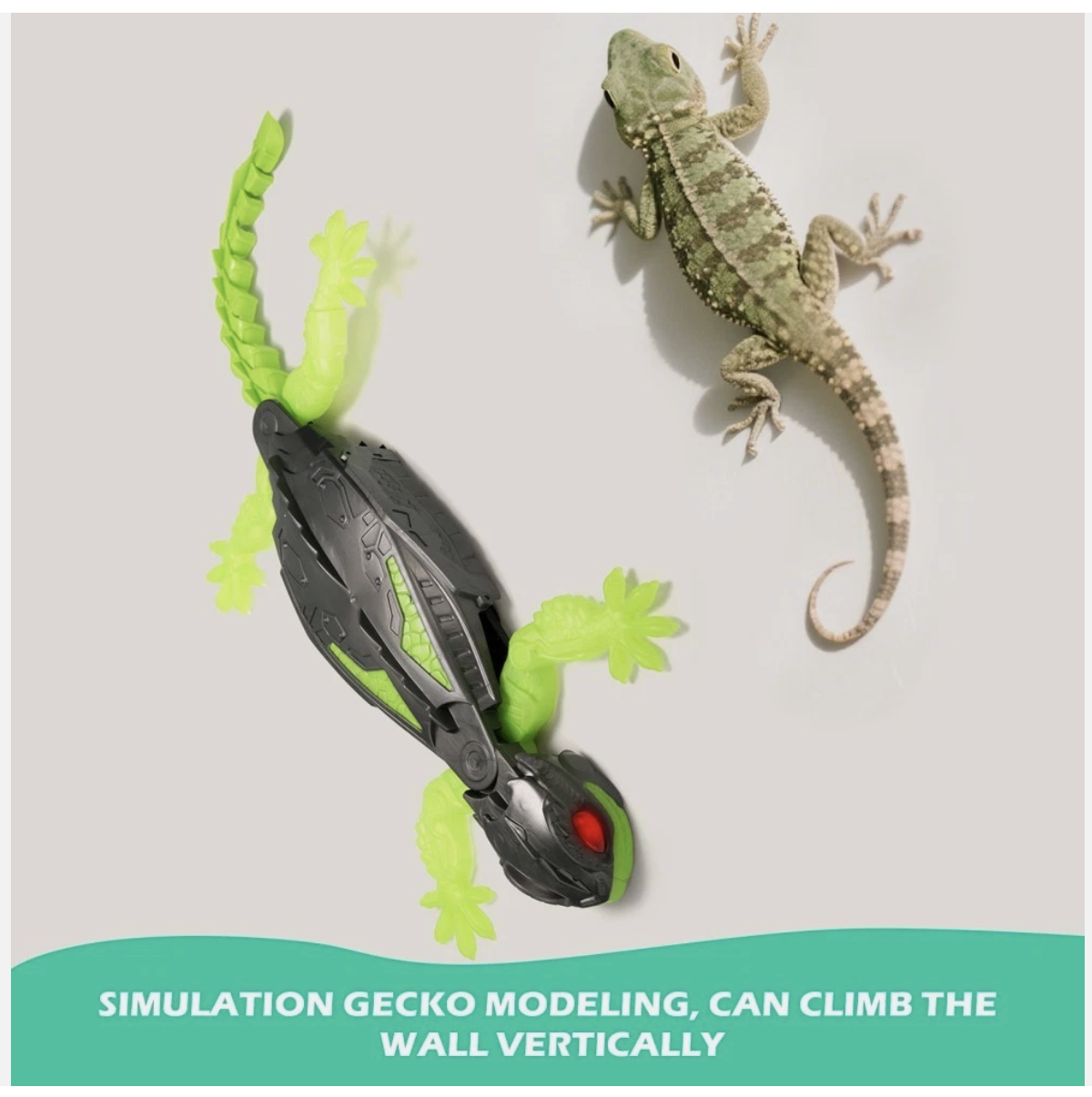 Wall Climbing Gecko Toy Rechargeable RC Robot-Drives on Walls Kids Gift