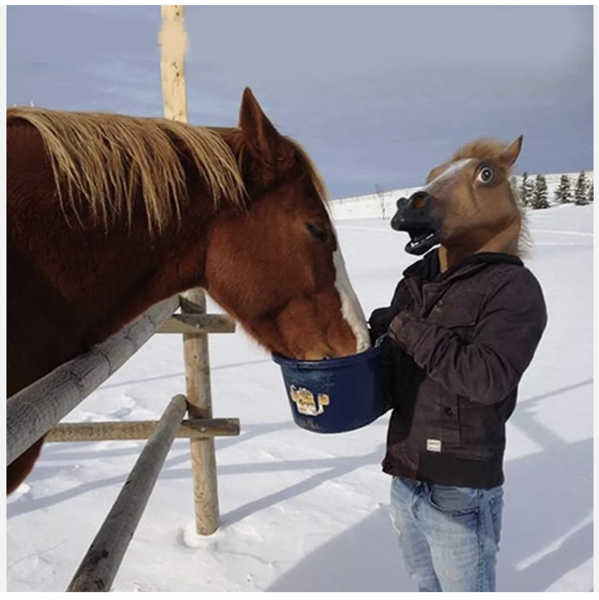 Latex Mask Horse Head Mask Animal HeadCreepy Halloween Costume Theater Party Toy