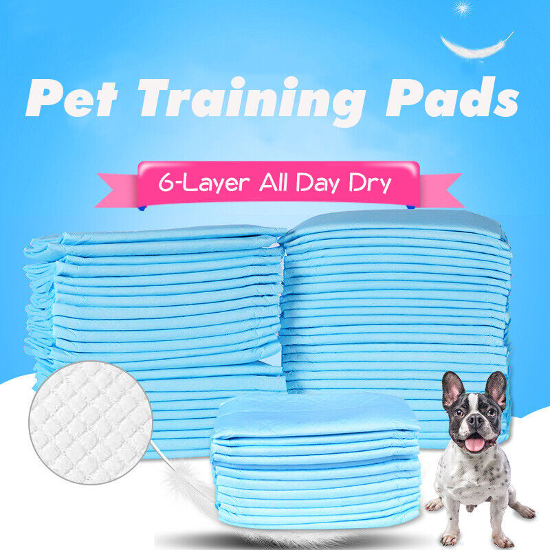 40PCs Pet Training Pads  Puppy Dog Toilet Pee Indoor Super Absorbent 60x60cm