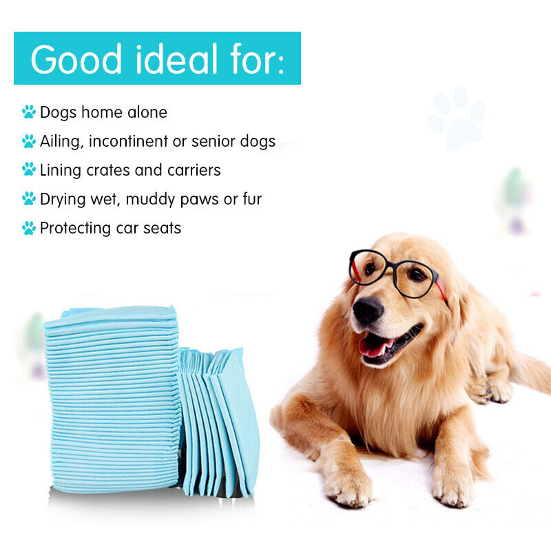 40PCs Pet Training Pads  Puppy Dog Toilet Pee Indoor Super Absorbent 60x60cm
