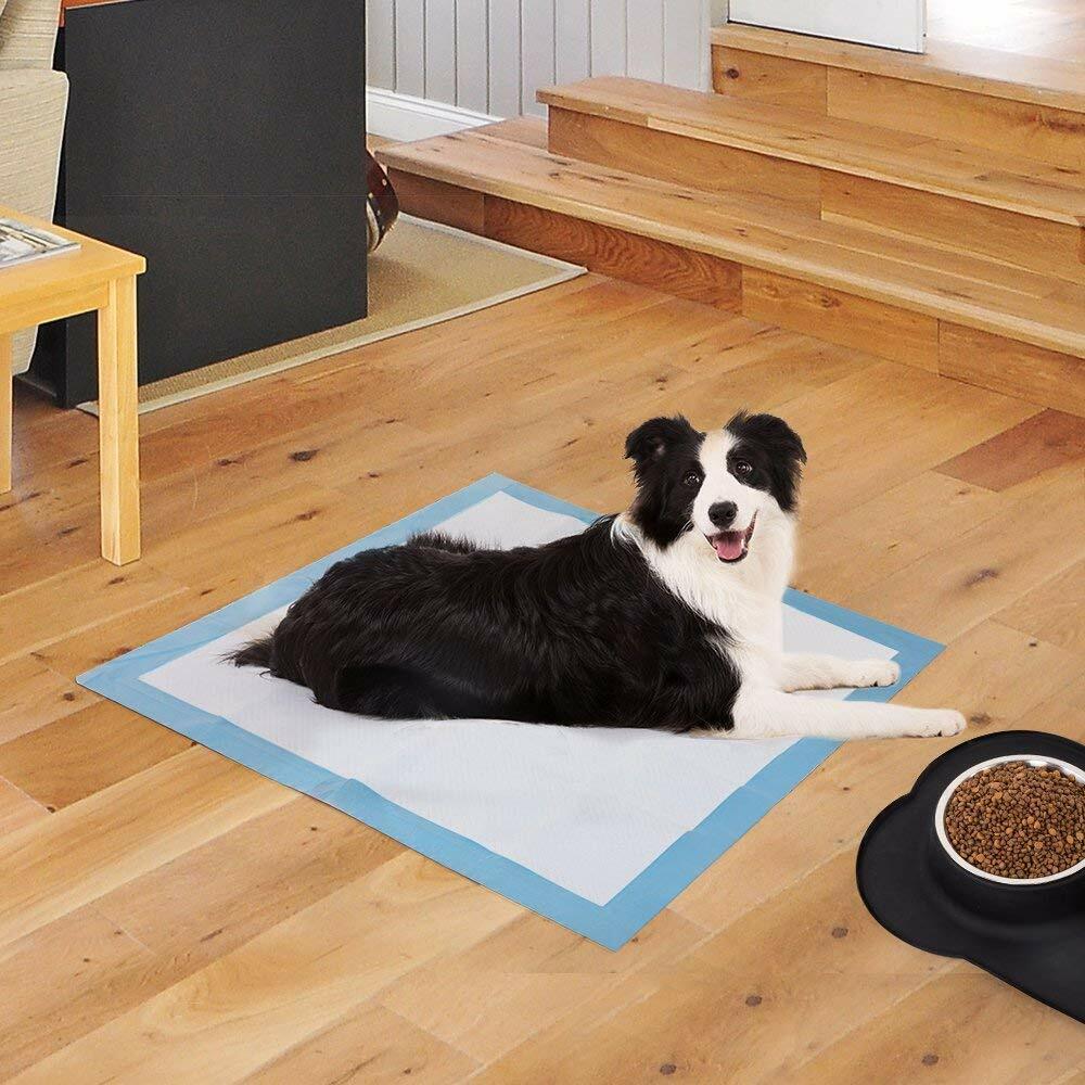 40PCs Pet Training Pads  Puppy Dog Toilet Pee Indoor Super Absorbent 60x60cm