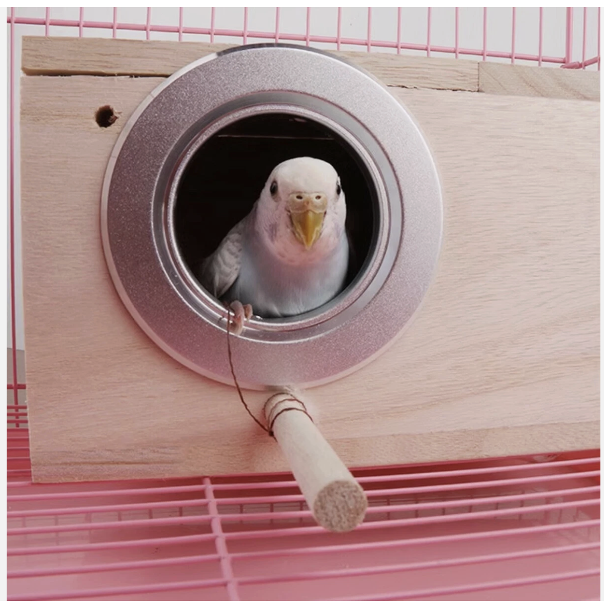 Wooden Right Opening Parrot Breeding Box Hatching Nesting Pet Cage for Birds