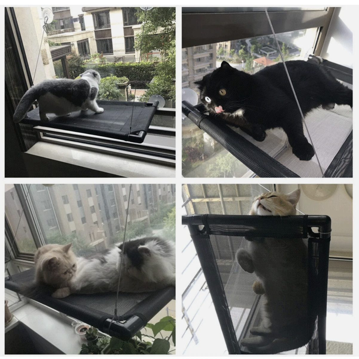 Pet Cat Window Hammock Perch Bed Hold Up To 60lbs Mounted Durable Seat Sunny
