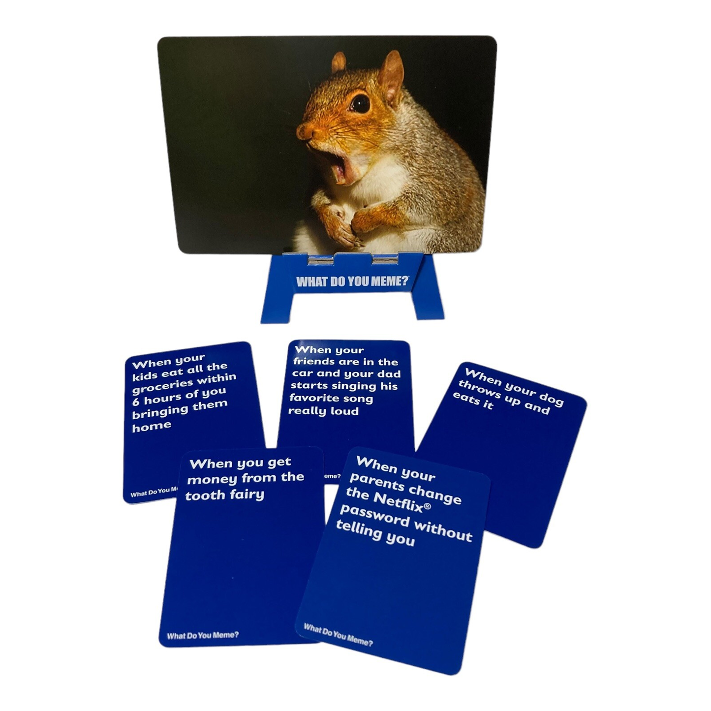 What Do You Meme? Family Edition Card Game | Hilarious NZ Family Party Game