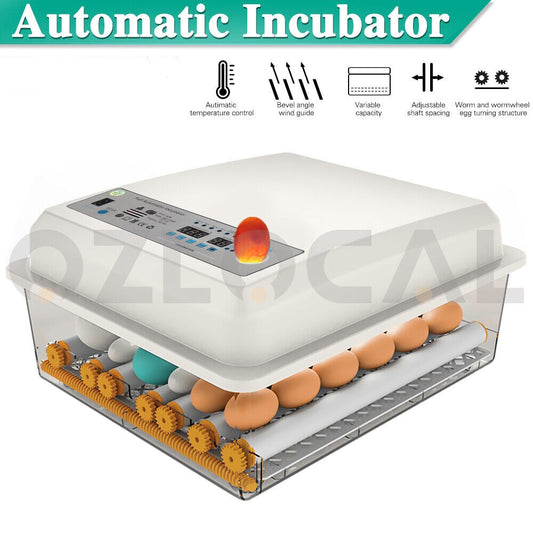Automatic Egg Incubator