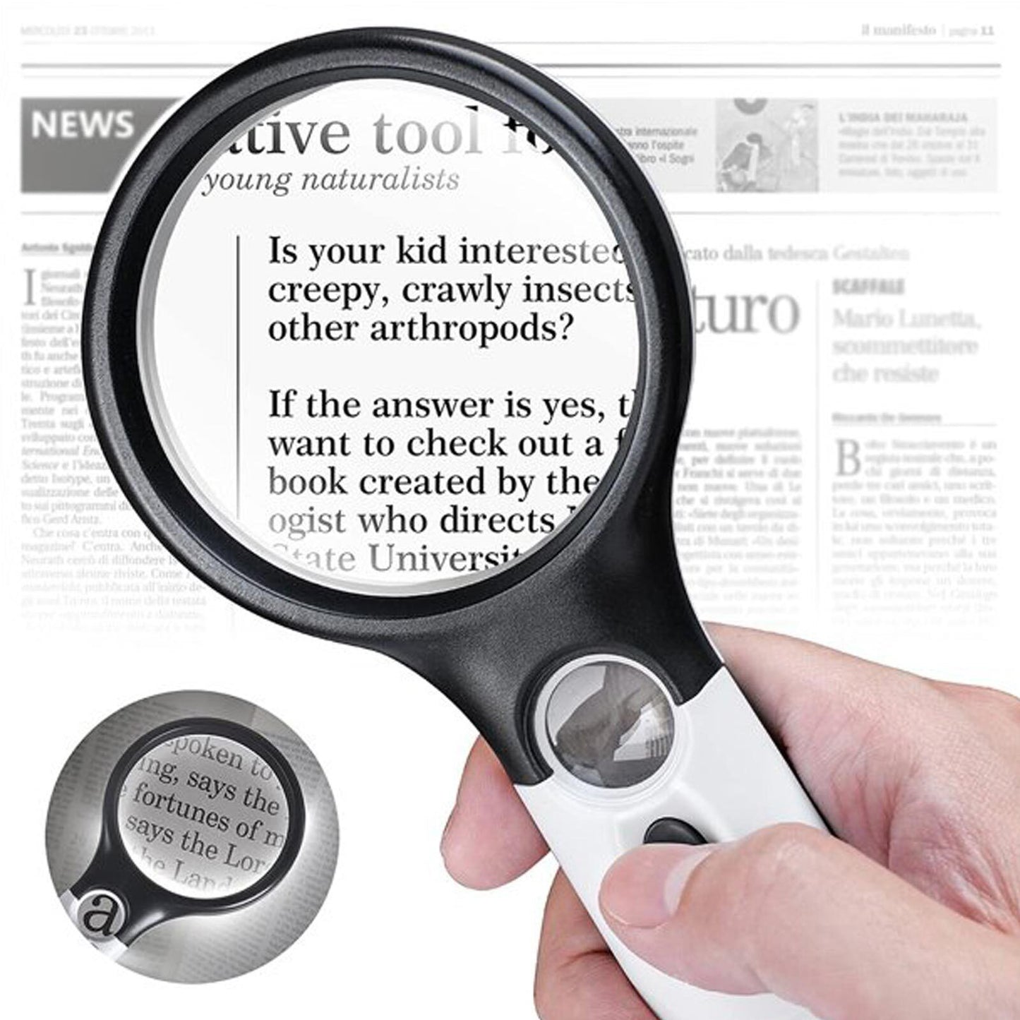 Magnifying Glass